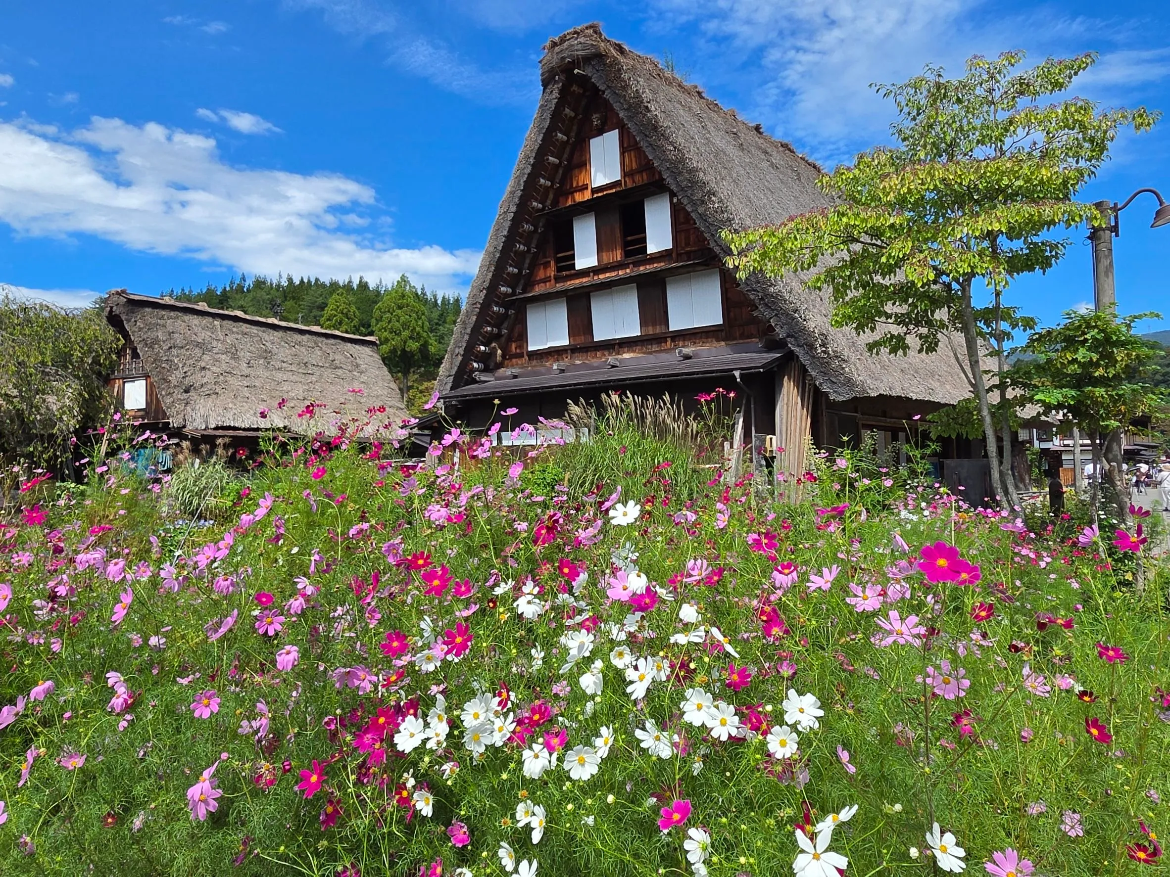 旅の風景の写真