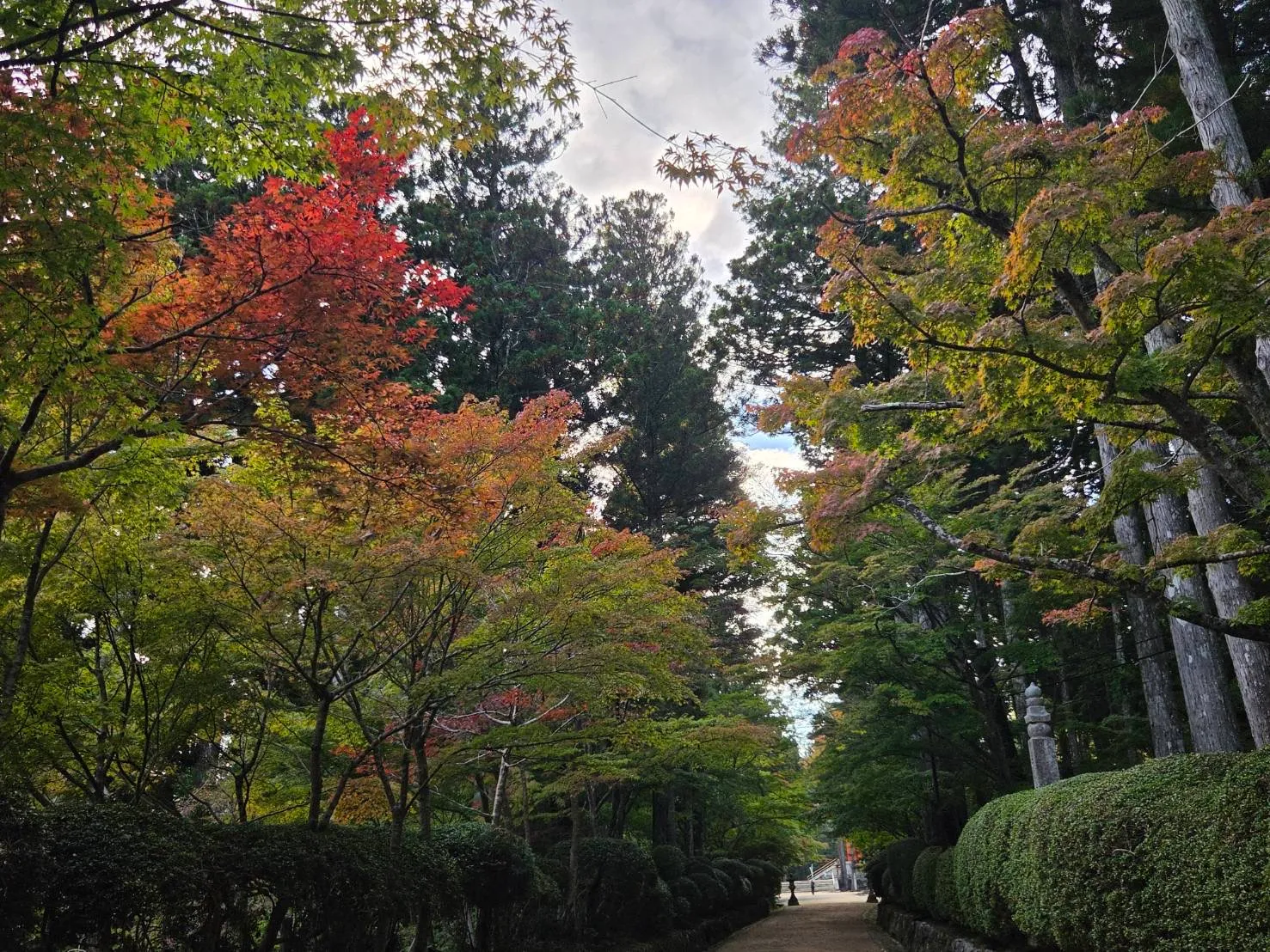 旅の風景の写真